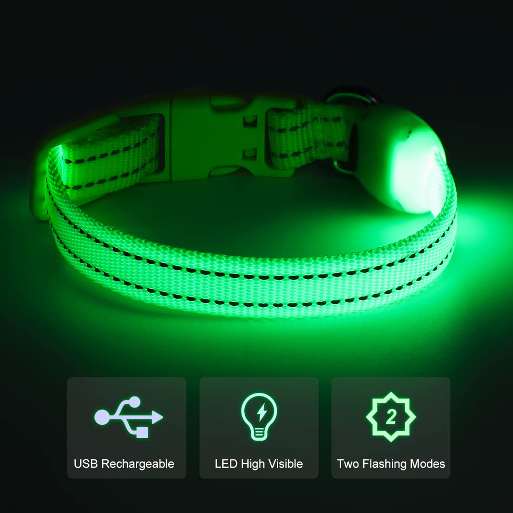 Collare per cani con LED riflettente, ricaricabile, luminoso, per animali domestici, per sicurezza notturna, ideale anche come collare per gatti illuminato (XS, verde)