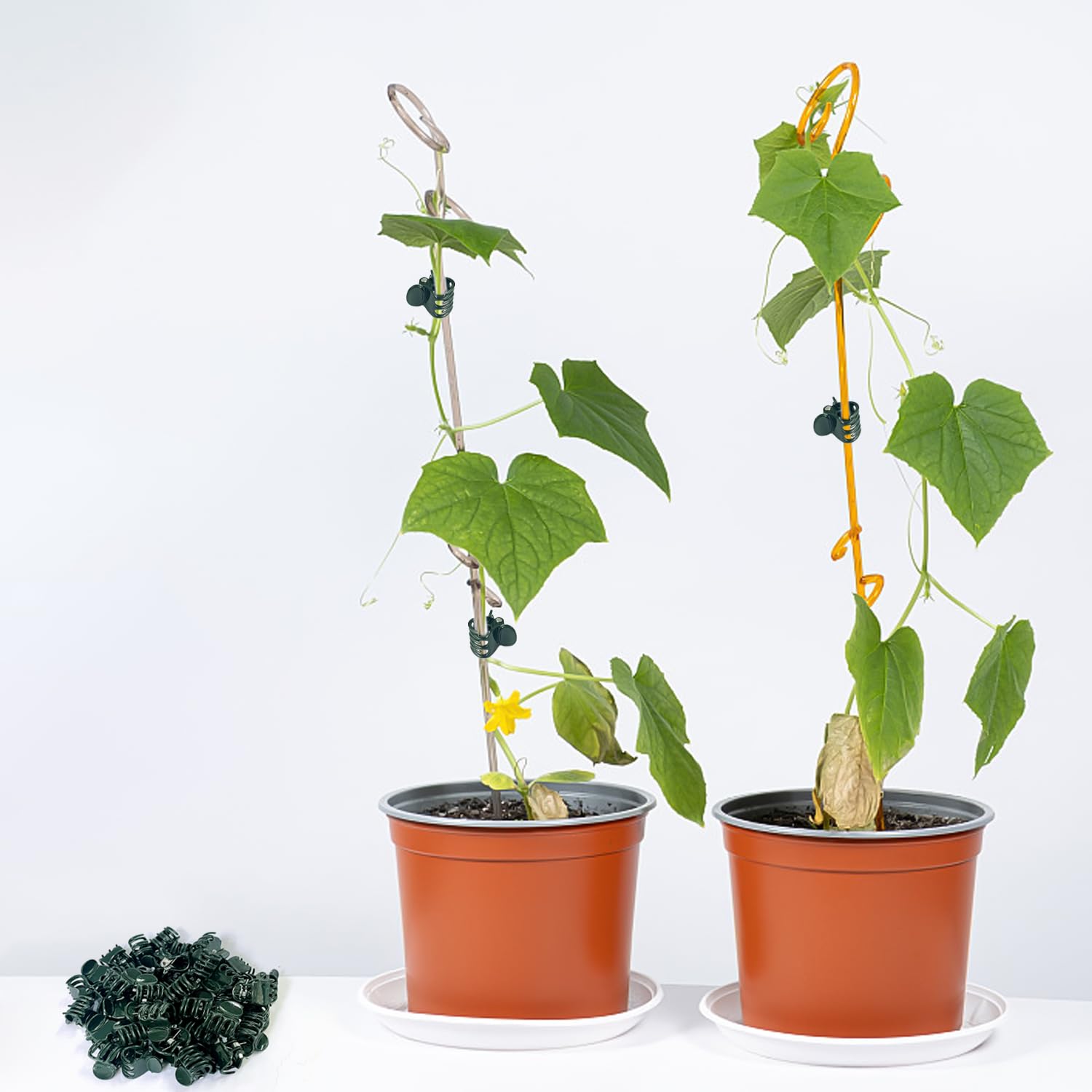 Clips De Vigne Attachés Pour Plantes - B458 - Vert Foncé - Plastique