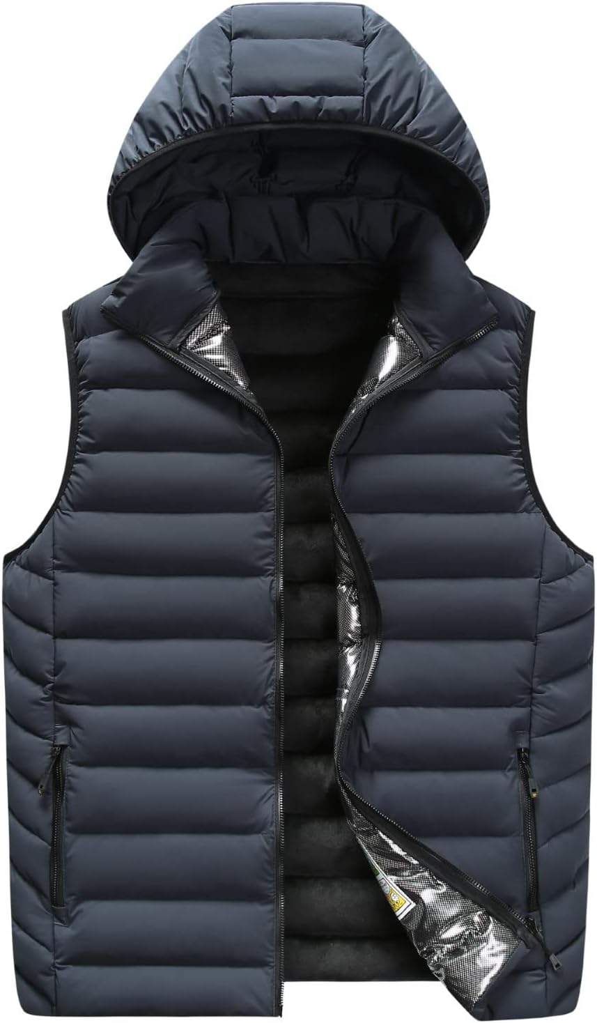 中村岳陵、爛漫の春、希少画集画、新品高級額装付中村岳陵、爛漫の春