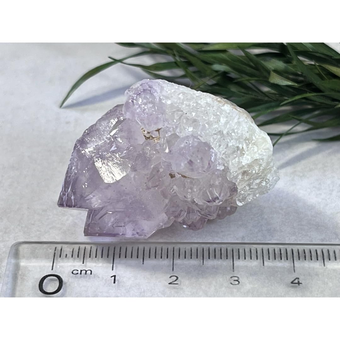 ダブルタビュラー　タントリックツイン　カクタスアメジスト　サボテン水晶　原石 Amazon.co.jp: ダブルタビュラー タントリックツイン カクタス