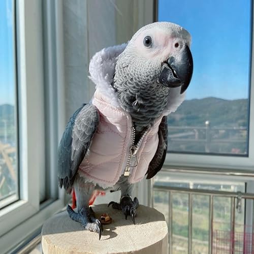 Bird Cloth Christmas Party Birthday Costume for Parrot Halloween Pet Birds Clothes Birds Cosplay Outfit Hoodies (Black,XL)(Pink,2M)