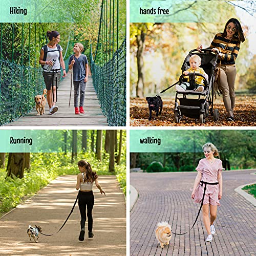 The Buddy System Adjustable Hands Free Dog Leash, Hand-Free Leash For Running, Jogging, Walking And Training Service Dogs, Versatile Small Dogs (Under 20Lbs)- Made In Usa - Small Dog, Large Belt,Black #TOP3