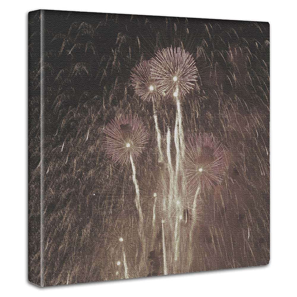 Amazon.co.jp: 花火 空 アートパネル 57cm × 57cm Lサイズ 日本製