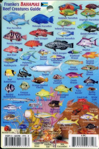 Mini Bahama Islands Id Card with Island Map 4 in by 6 in