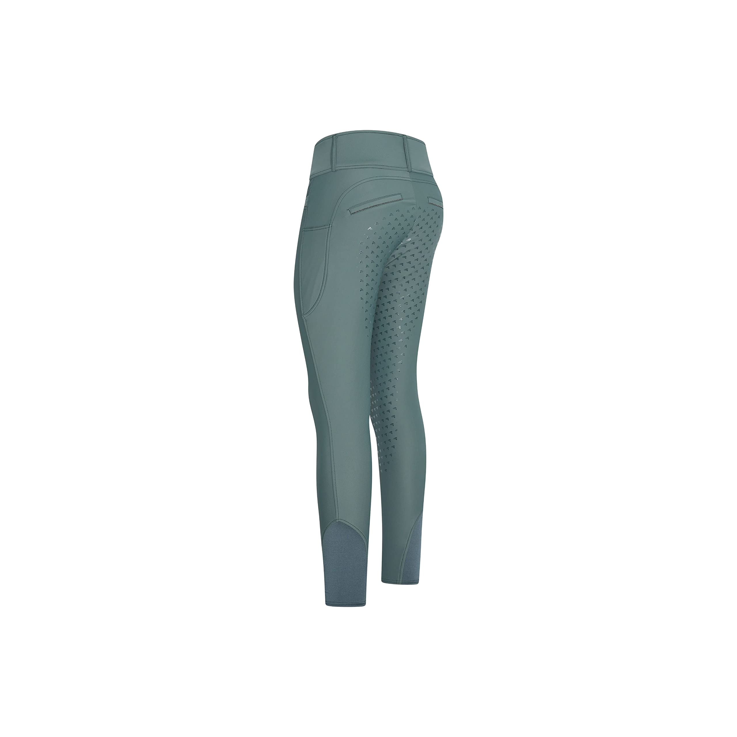 euro-star Legginsy jeździeckie Easy Rider ERMaxima FullGrip Dark Castor HW 22