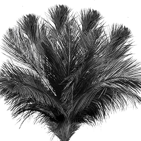 KONUNUS 20 Stück Natürliche Straußenfedern 20-25cm Schwarz, Strauß Feder Dekofedern Für Haus Hochzeit Hüte Basteln, Zuhause Dekor Hochzeitsdekoration Deko Cover