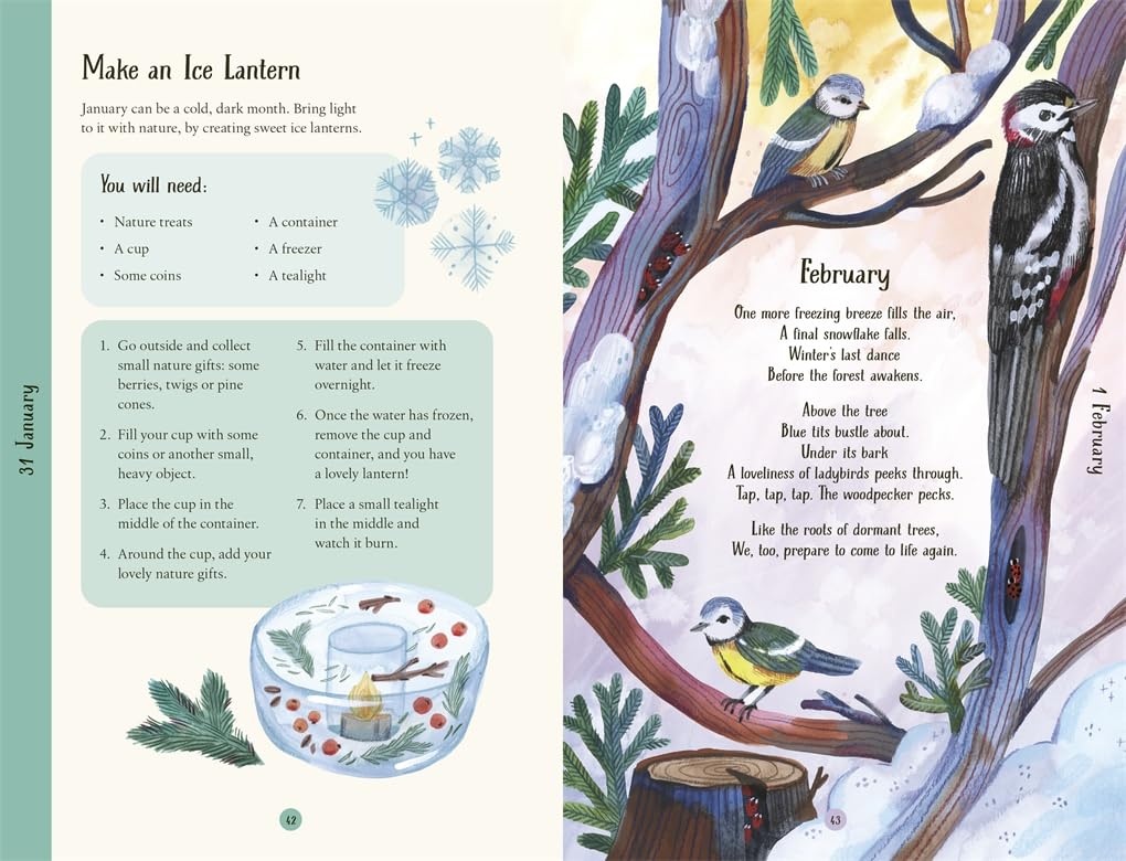 A Year in the Forest: 365 facts and activities to inspire you all year round