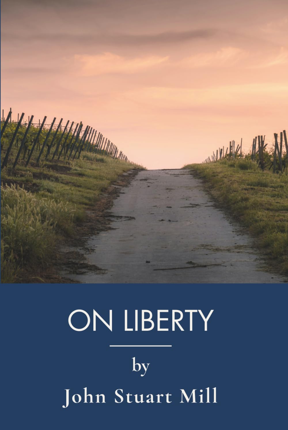 On Liberty: The Classic Essay on Freedom of Speech (Annotated)