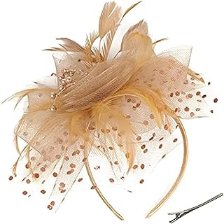 fghuim Women's Organza Church Kentucky Derby British Bridal Tea Party Wedding Hat Feather Hair Clip Fascinators Hat
