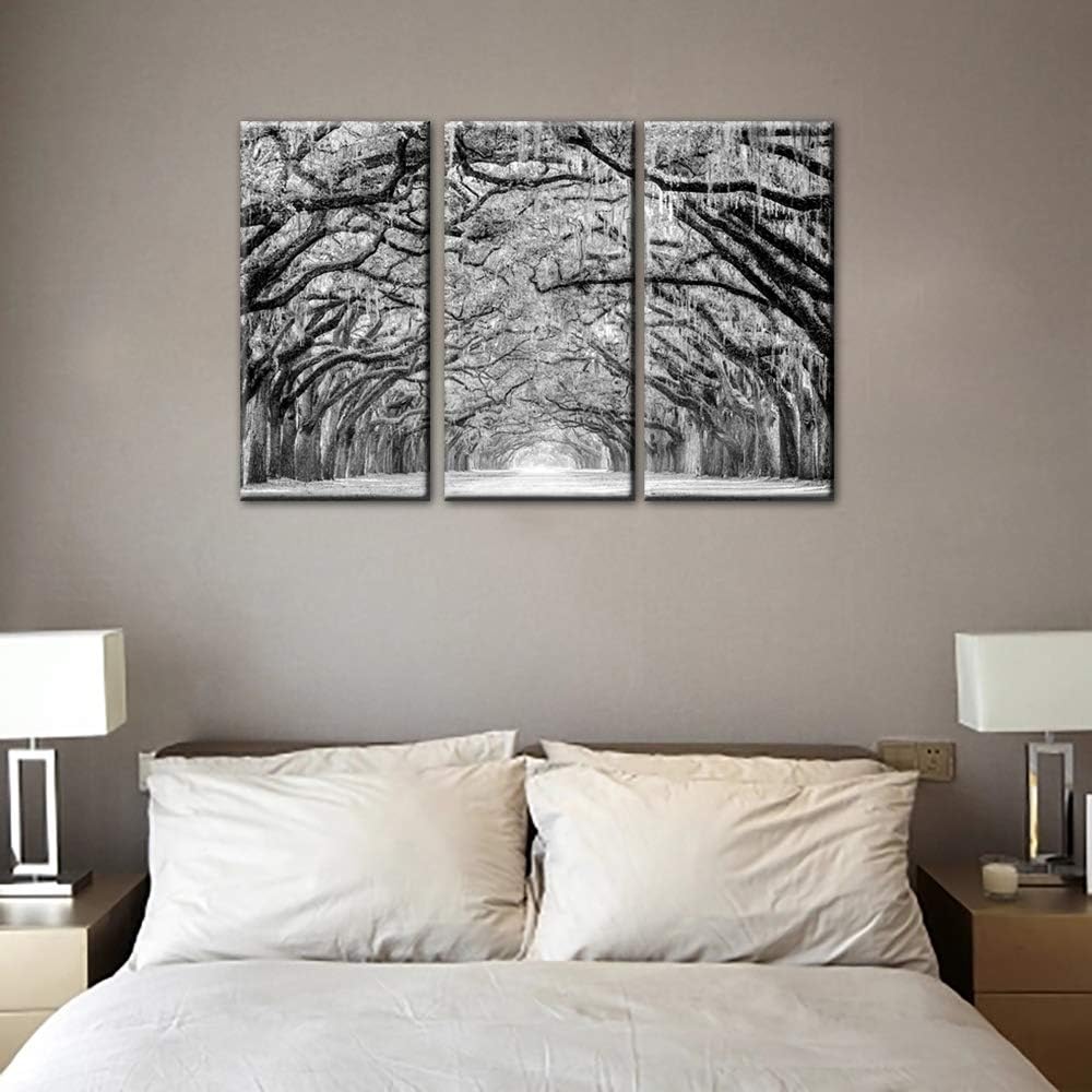 Lіmіtеd Dіѕсоunt TUMOVO 3 Panels Black White Tree Canvas Wall Art - Oak Trees are Draped with Spanish Moss Landscape Canvas Pictures for Wall Framed Painting for Bedroom Living Room Office Ready to Hang(28''x42'') Hоttеѕt Sаlеѕ TUMOVO 3 Panels Black White Tree Canvas Wall Art - Oak Trees are Draped with Spanish Moss Landscape Canvas Pictures for Wall Framed Painting for Bedroom Living Room Office Ready to Hang(28''x42'')