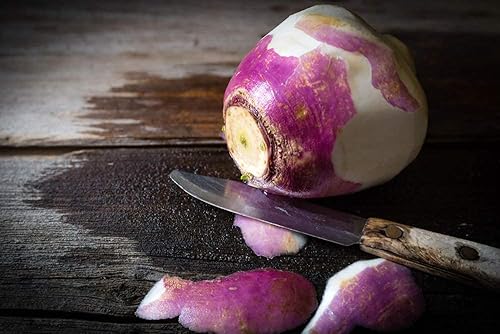 Miniatura 3 de Rutabaga (parte superior púrpura americana), más de 150 semillas de reliquia por paquete, semillas de jardín de Isla (semillas de jardín de Isla),