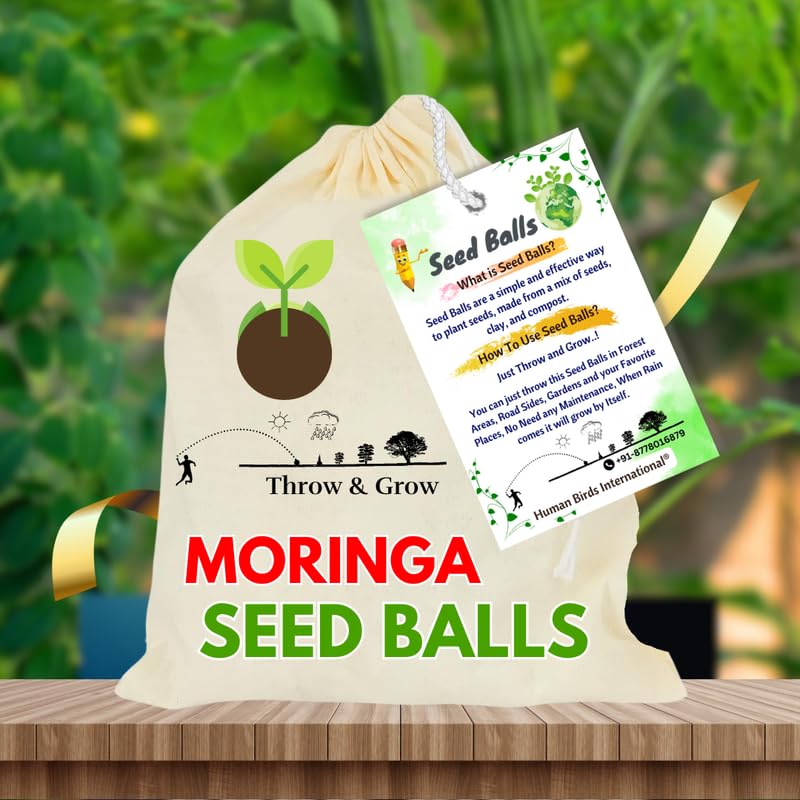 Human Birds International® - Seed Balls Pack of (50) - (Moringa, Moringa Oleifera, Murungai, Drumstick, Moringa,), Just Throw and Grow, Return Gift, Earth Balls, Seed Bombs