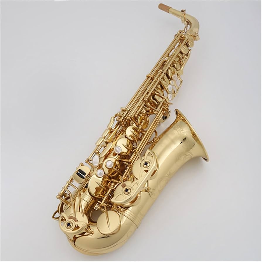 金メッキ サックス ケース付き 金メッキ サックス ケース付き