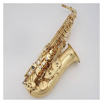 Amazon | プロフェッショナル サックス アルトサックス 金メッキボディ