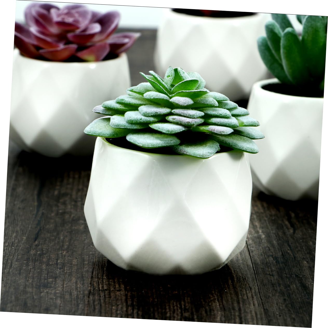 Alipis Plante Grasse Artificielle en Pot 4 Pièces, Céramique PVC | Décorations de Bureau et Comptoir, Formes Variées, Rendu Vivant, Idée Présent Créative