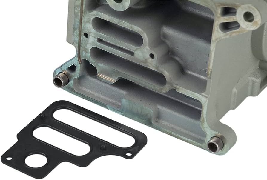【S-low 】Jelly BeanTHEBARBAROCKETS Amazon.com: AlveyTech Carburetor Gasket Kit with Spacer fits