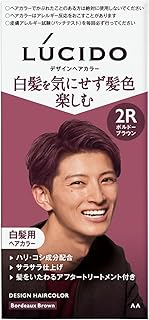 LUCIDO(ルシード) 【医薬部外品】デザインヘアカラー ボルドーブラウン [ 白髪染め メンズ ] [ クリームタイプ ] [ 白髪を気にせず 明るい髪色 楽しめる ]