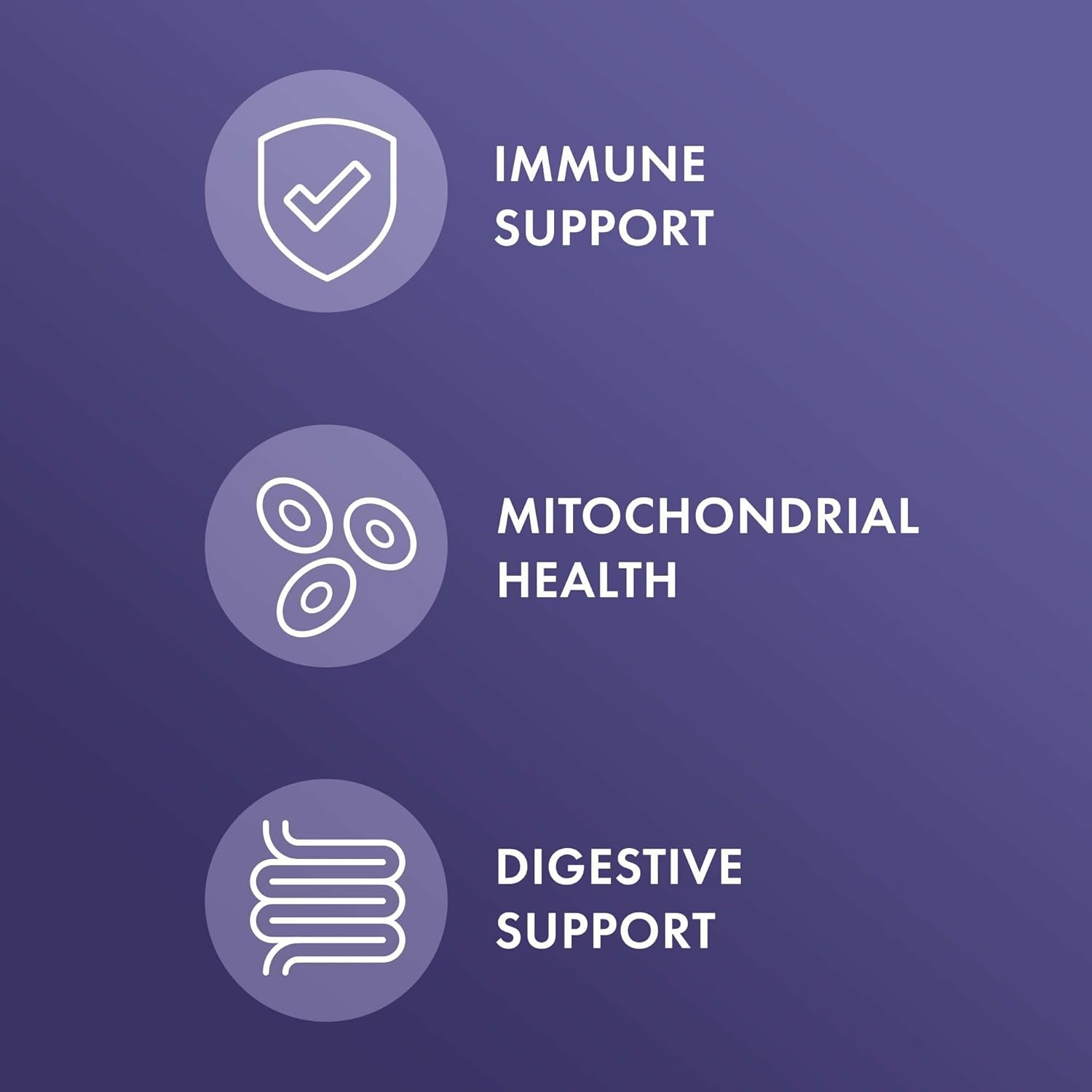 Dr. Mercola Full Spectrum Enzymes - 22 Different Enzymes - Supports Digestive & Immune Health - Helps Digest Carbohydrates, Fats & Proteins - Non-GMO, Gluten-Free & Soy-Free - 90 Capsules (3 Pack)