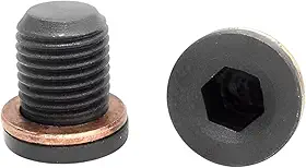 Bujão do Cárter com Arruela de Cobre, Parafuso Dreno N90856001, para Gol G5, G6, G7 8 Válvulas