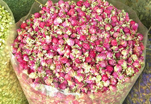 Flores secas Gomphrena globosa 4 OZ Pack de 2 miniatura 5