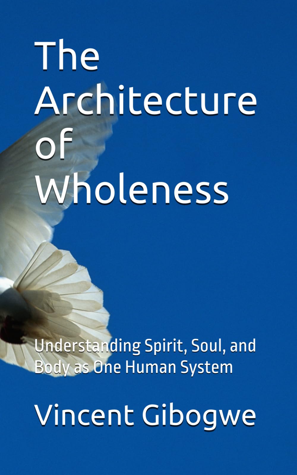 The Architecture of Wholeness: Understanding Spirit, Soul, and Body as One Human System