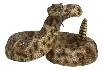 ガラガラヘビの尻尾（大）剥製 ガラガラヘビの尻尾（大）剥製 ガラガラヘビの尻尾（大）剥製