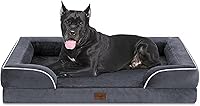 Vista 163 de Comfort Expression - Cama ortopédica para perros extragrandes, 42 x 30 pulgadas, cama impermeable y de apoyo de espuma con cojines removibles, sofá