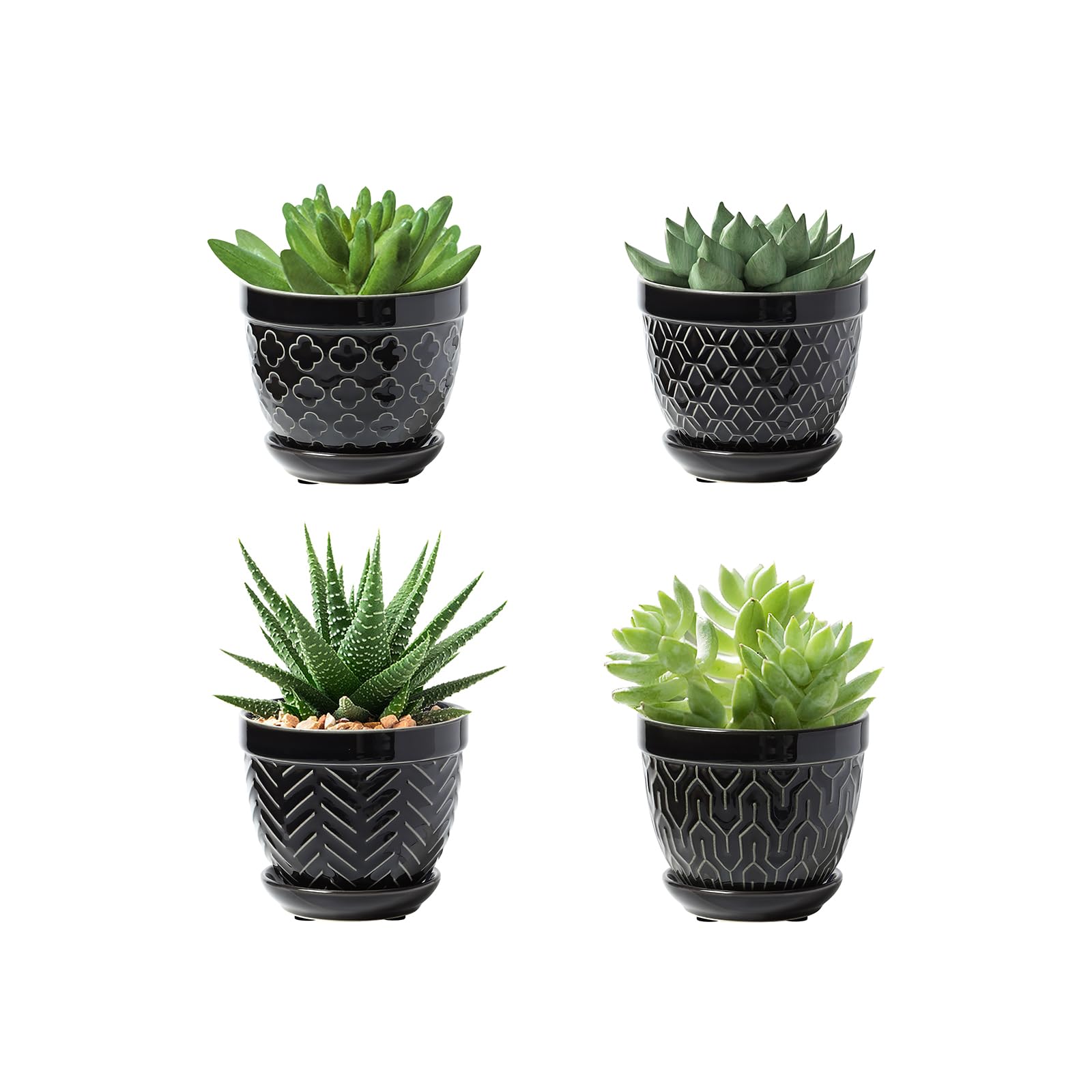 Sureasy Succulent Pots