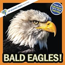 Bald Eagles! A My Incredible World Picture Book for Children My Incredible World Nature and Animal Picture Books for Children