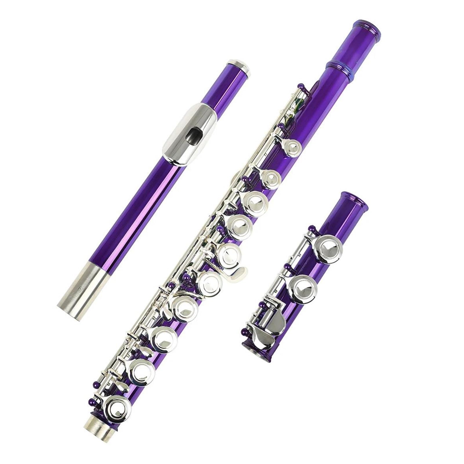 flet prosty 16 zamkniętych komórek, otwartych komórek C, profesjonalny instrument fletowy z rękawiczkami do wycierania pudełek (Color : PURPLE)