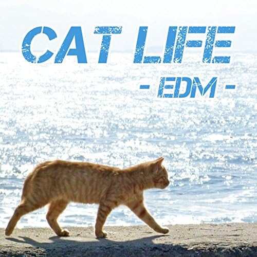 洋楽 KAT / LIFE Amazon.co.jp: Cat life (EDM Ver.) : GT-K: デジタルミュージック