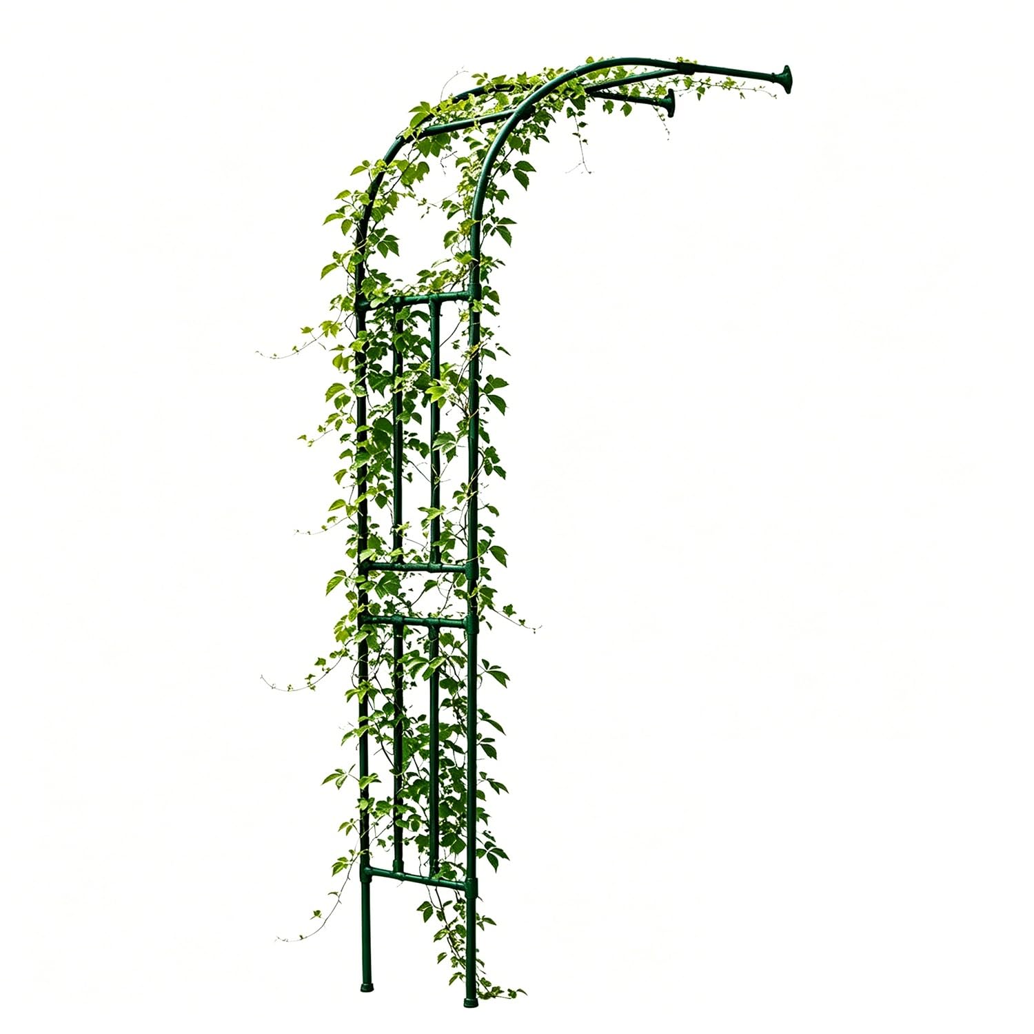 Pergola de Jardin Semi-arquée, adaptée aux Plantes grimpantes, en métal, de 60 à 300 cm de Haut, en Acier recouvert de Plastique, Semi-arquée Murale, Convient aux Cours, patios et Jardins FA