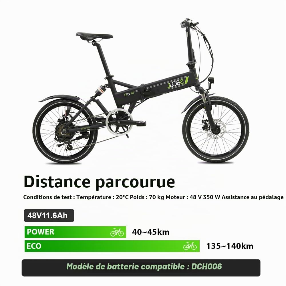 Batterie E-Bike 48V 11,6Ah pour Moteur 250W/350W/800W Batterie Intube | Compatible Fiido M1 Pro, BEZIOR XF200, Samebike LO26