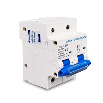 2P 1000V DC MCB 80A 100A 125A Circuit Breaker PV System C Curve Battery Main Switch(125A)