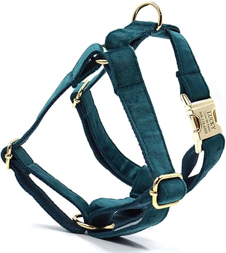 Miniatura 9 de PETDURO Arnés para perro, de terciopelo suave, personalizado, con nombre grabado, hebilla de metal dorada para hembras, machos, perros de tamaños