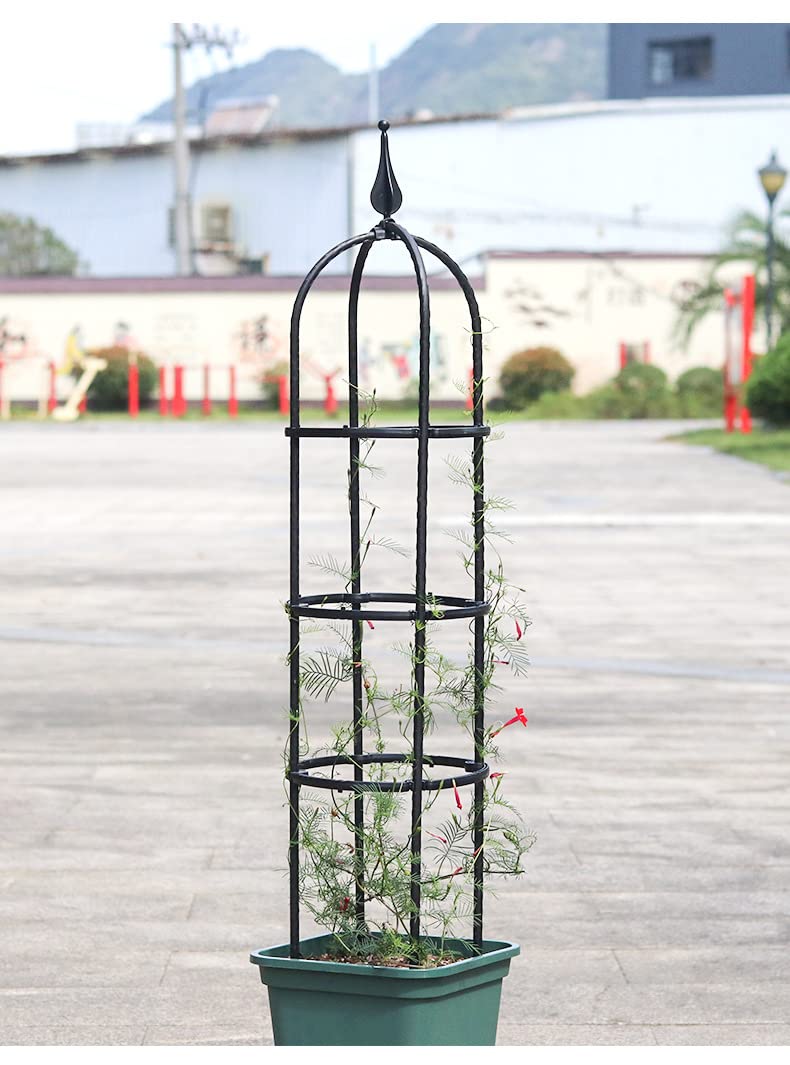 Treillis de jardin pour plantes grimpantes - Cage de support pour plantes grimpantes - Tour obélisque - Support pour plantes d'intérieur en pot, treillis pour plantes grimpantes, tomates, fleurs,