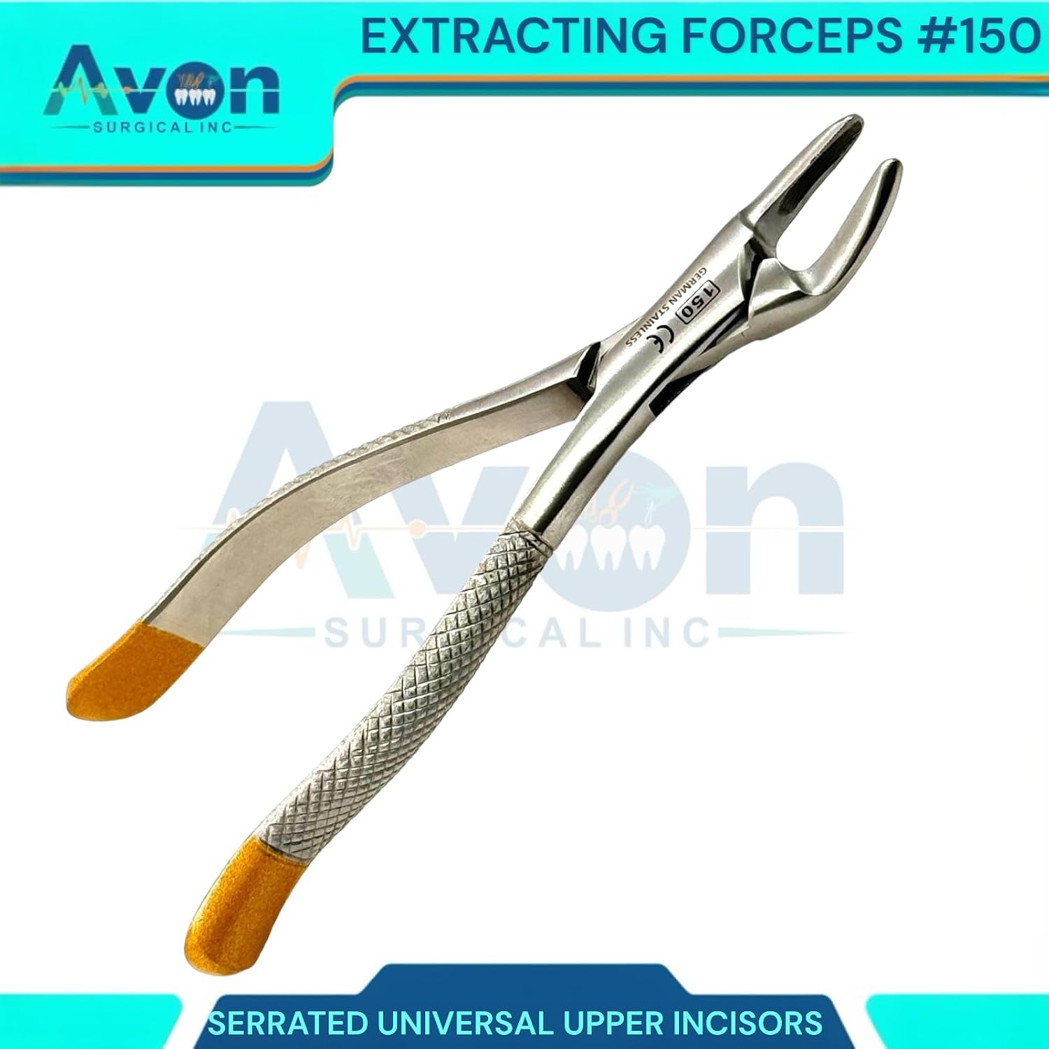 Dental Extracting Extraction Serrated Forceps #150, for Maxillary incisors, Canines, premolars and Roots, Premium Gold Handle, Stainless Steel