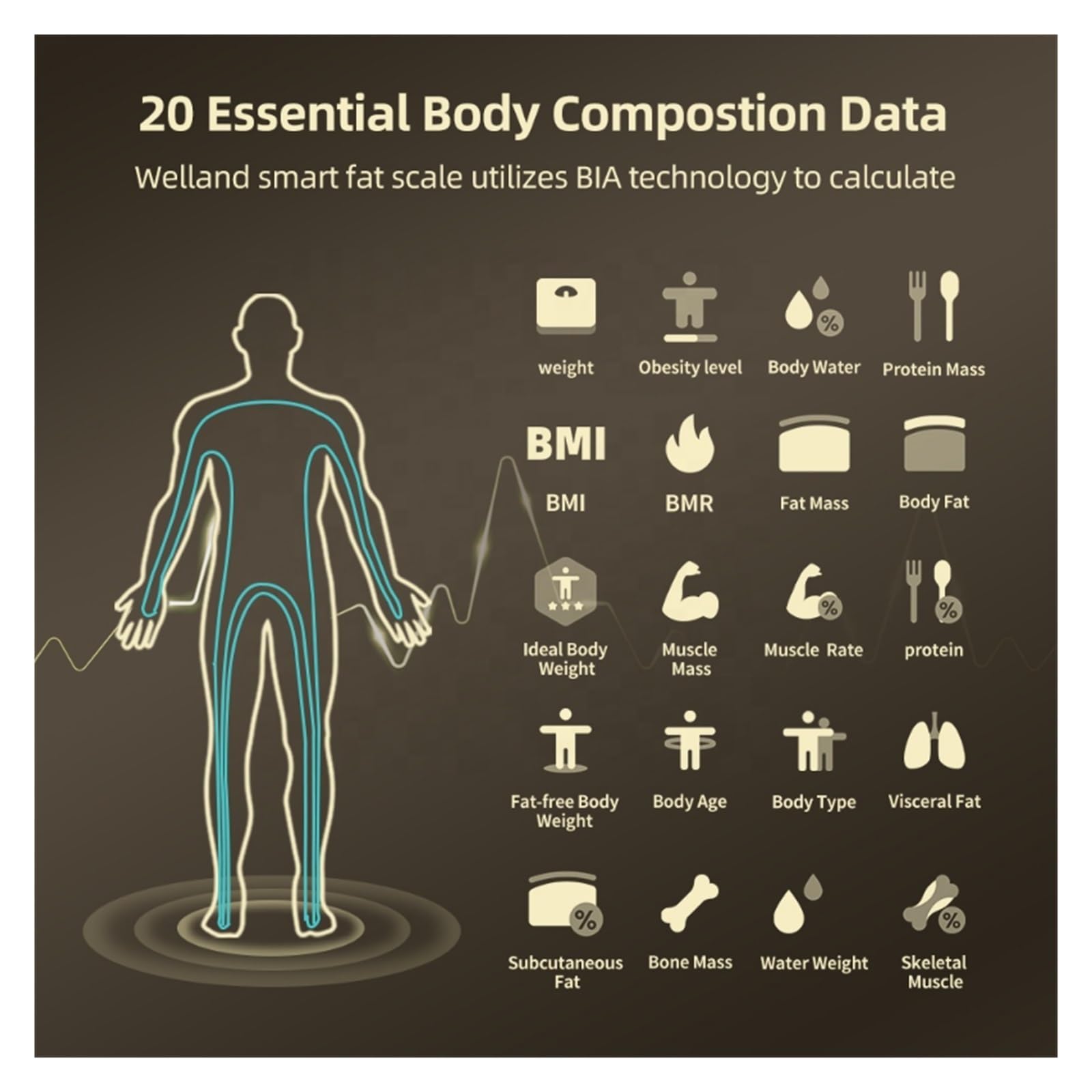 Báscula De Bioimpedancia Inteligente Composición Corporal Digital Peso Grasa Equilibrio Preciso FáCil De Leer