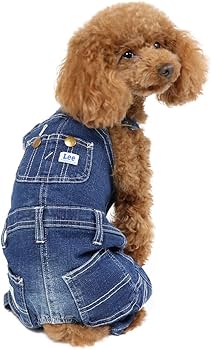Amazon | ペットパラダイス 犬 服 Lee デニム 白ステッチ