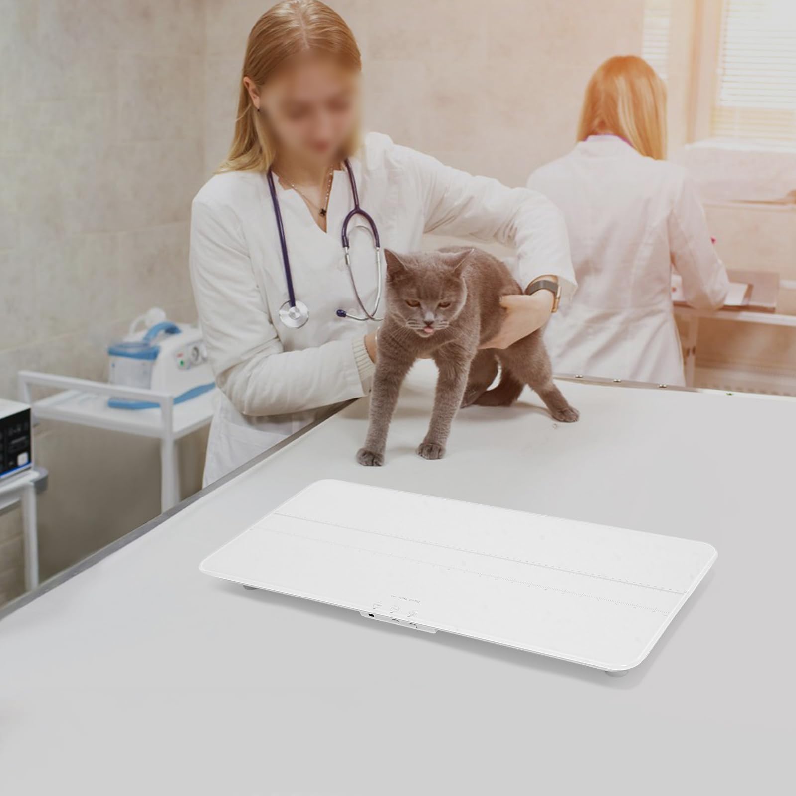 69 * 33Cm Digital Balanza para Animales para Perros y Gatos, de Vidrio Templado, Balanza para Perros 50g-100Kg con Pantalla LED, para Hogares, Tiendas de Mascotas, Blanco