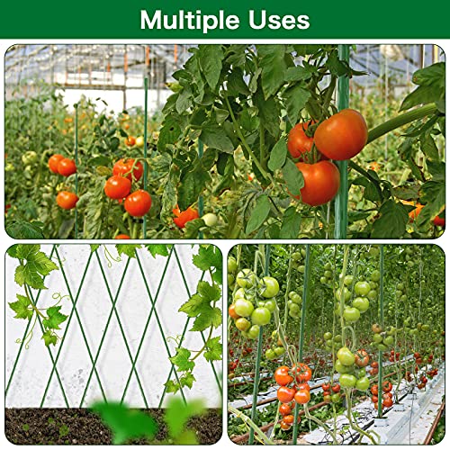 FEED GARDEN Garden Stakes 57 Inch 25 Pack,Sturdy Plant Metal Sticks Support,Plastic Coated Plant Stakes,Tomato Stakes,Beans,Trees by FEED GARDEN - Image 6