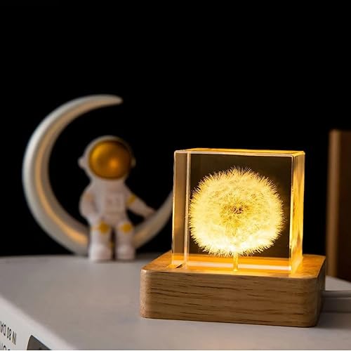 DESHINTKE Pisapapeles de flor eterna de diente de león real con base luminosa (cubo)