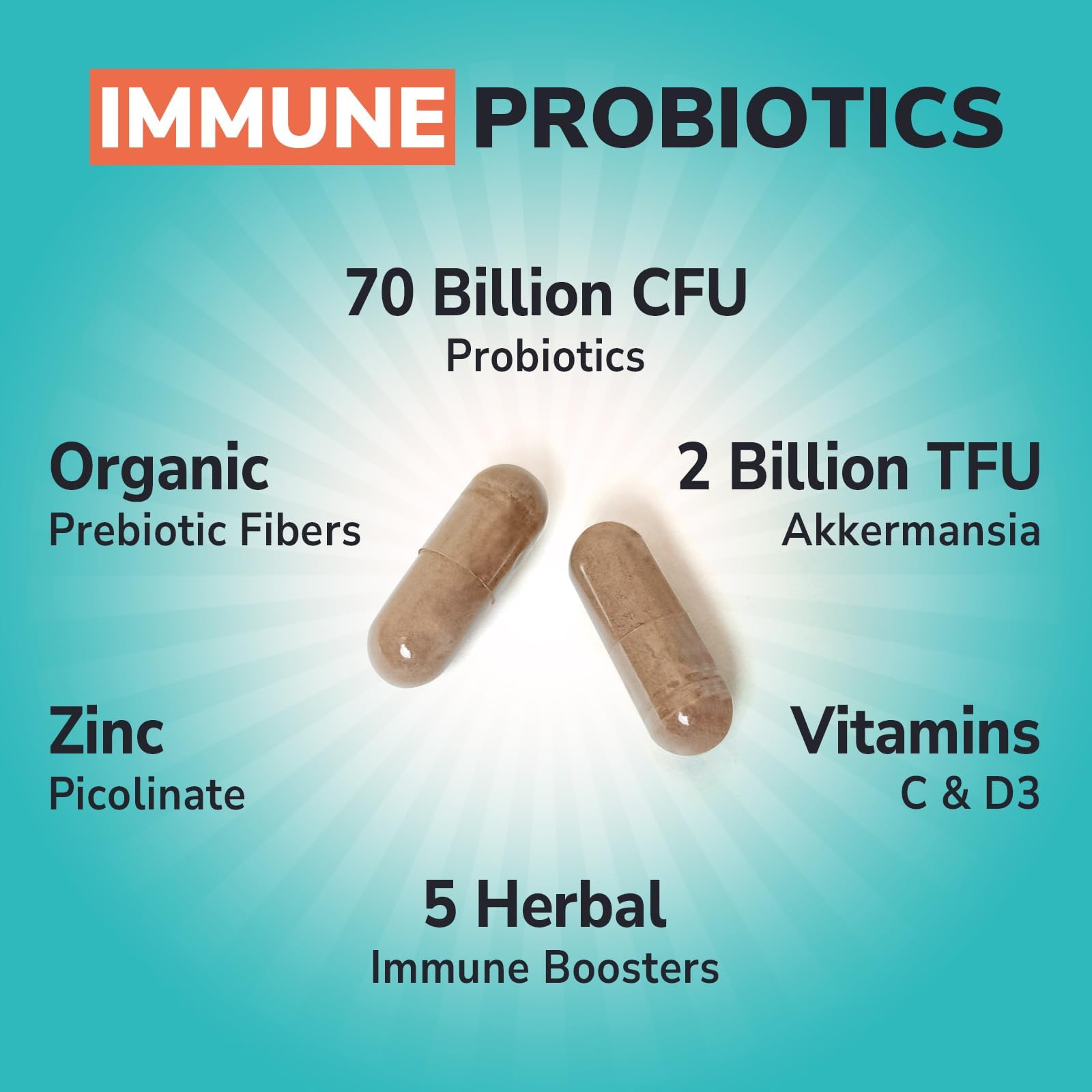 Akkermansia Probiotics for Women & Men, Immune Support Supplement, 16 Strains, with Prebiotics, Zinc, Vitamins C & D3, Moringa & Elderberry, Non-GMO, Digestive Support, 60 Capsules