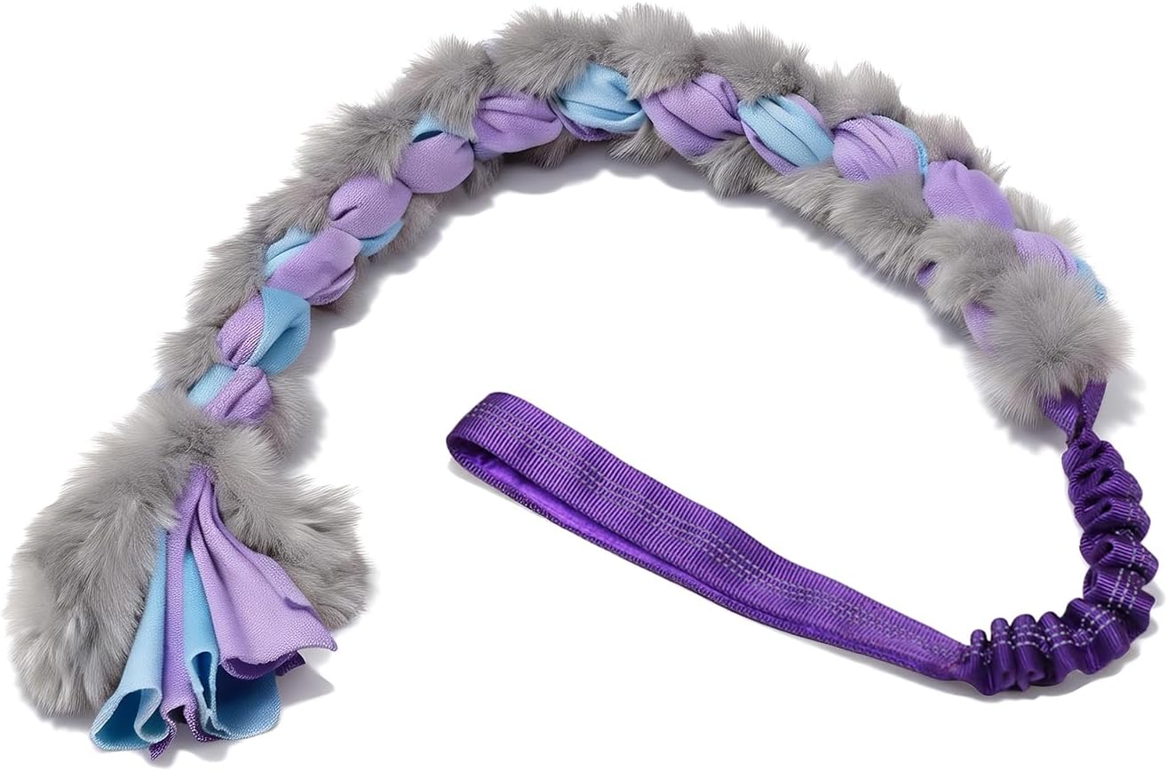 Dog Tug Toys, Training & Fetch Play Bungee Rope Dog Toy, Interactive Soft Pet Toy with Plush for Small, Medium and Large Dogs [Blue+Purple+Grey]