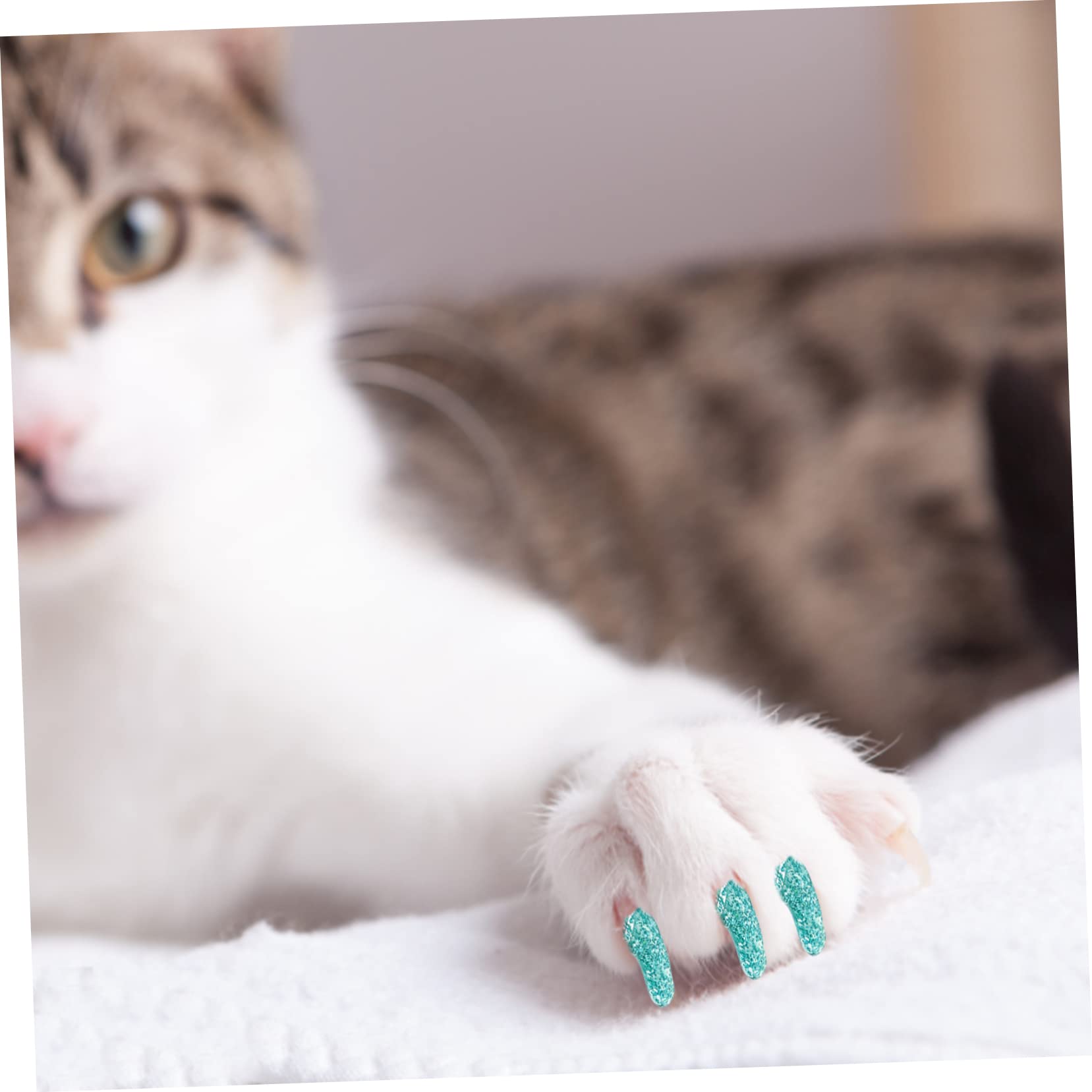 Sosoport 50juegos Cubiertas De Uñas De para Gatos y De Coloridas para Protección De Patas Reduce Arañazos y Daños El De Usar y Seguro para