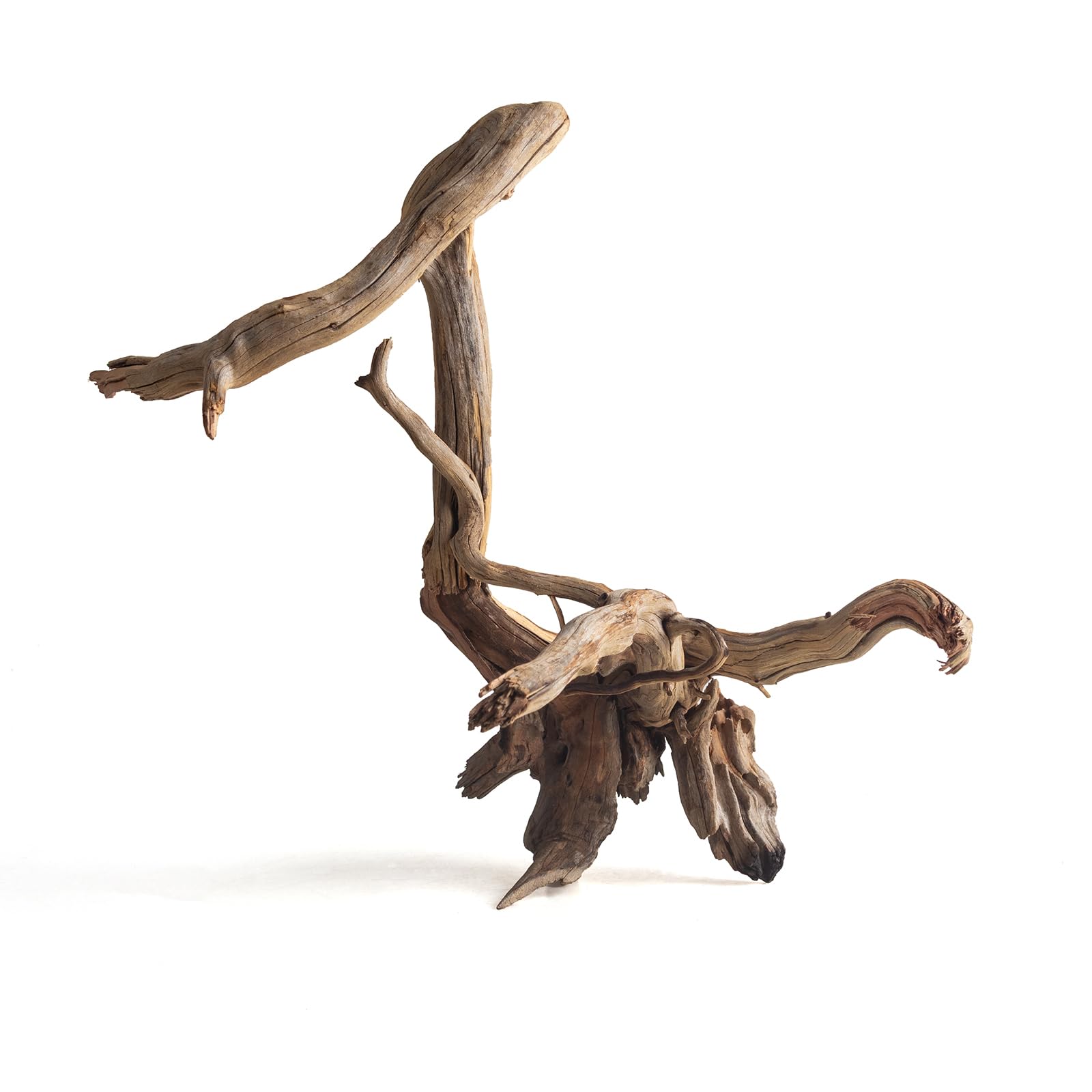 emours Bois flotté naturel pour aquarium, bois flotté unique pour décoration d'aquarium, terrarium et reptile, 1 pièce (20-30 cm)