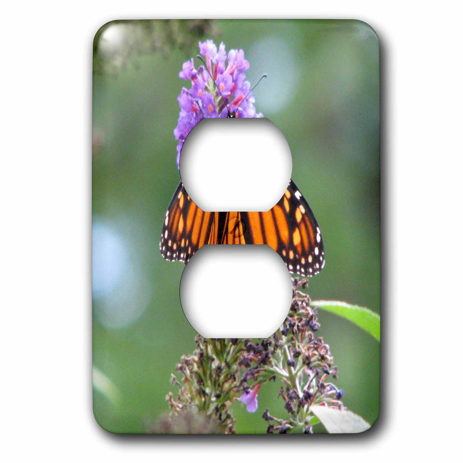 Cache-prise monarque violet et orange 3dRose lsp_27253_6 aux reflets intenses