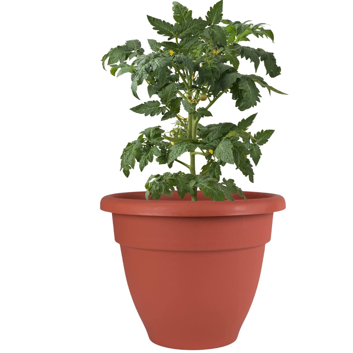 DEVICE OF URBAN INFOTECH 18 Inch Plastic Planters Big Size Flower Pot Stylish Indoor Outdoor Gamla Maroon Finished Plant Containers for Garden Nursery Home Decor (Pack of 1) (B09TPMM5MJ) Amazon Price History, Amazon Price Tracker