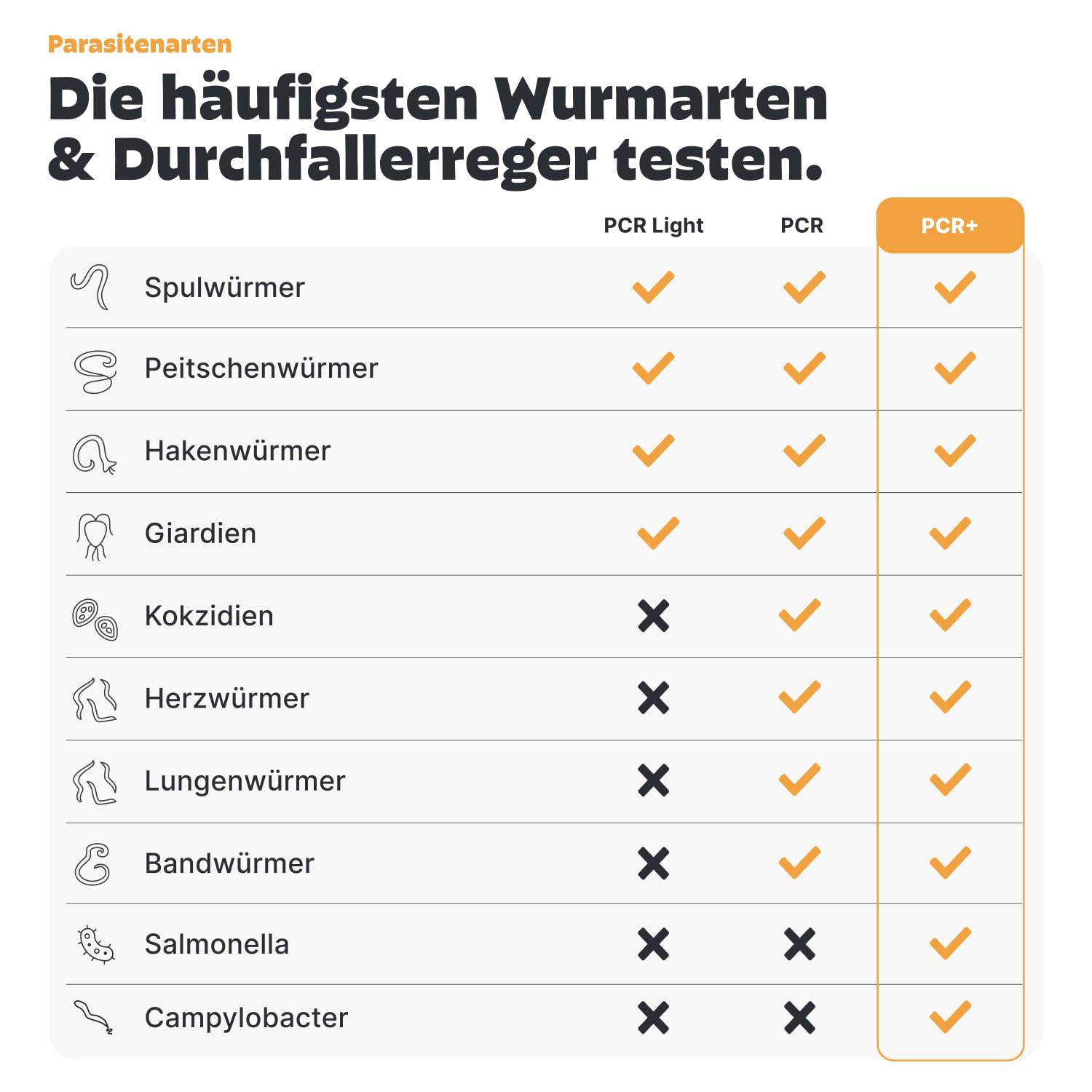 PEZZ ParaScreen PCR+ Wurmtest für Katzen zum Testen auf 11 häufige Wurmarten und Parasiten inkl. Giardien | Labor-Befund inkl. CT-Wert | mit gratis Labor-Versand (PCR+, 1 Stück)