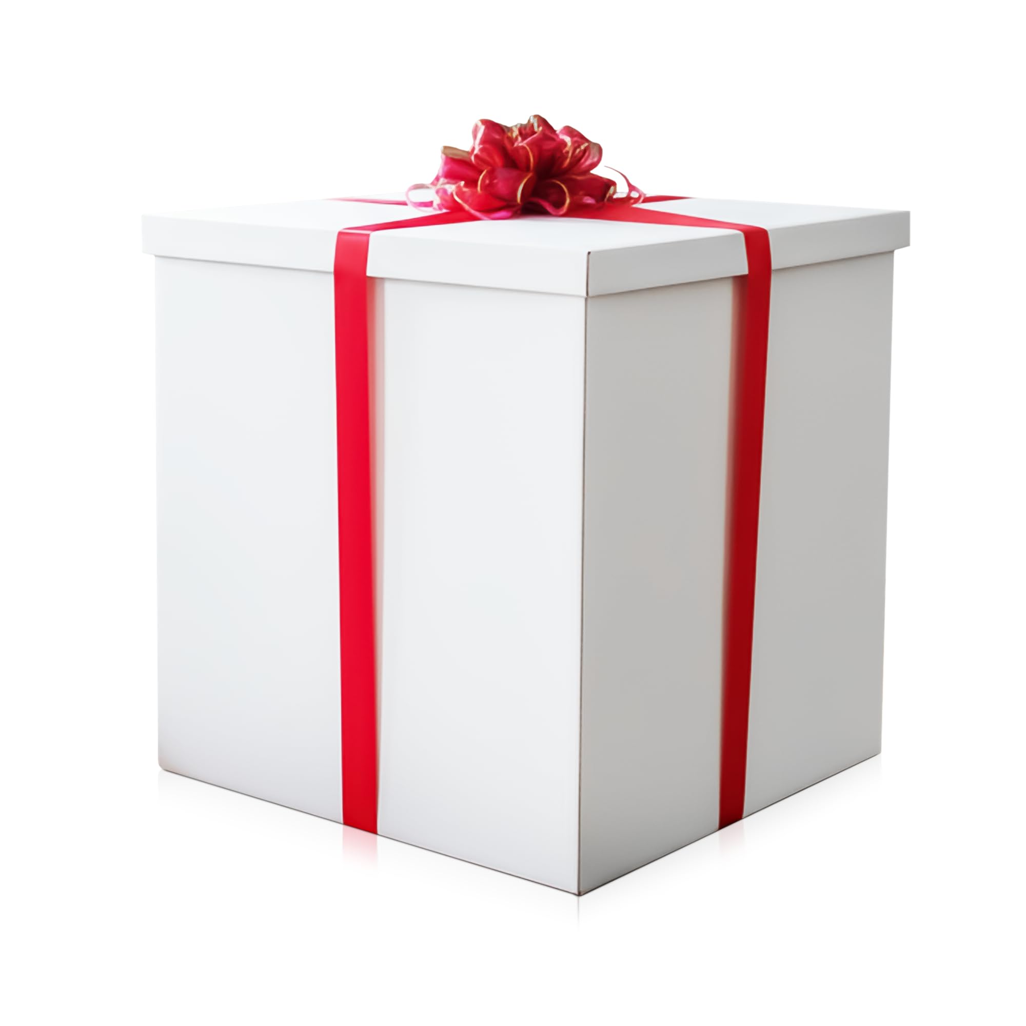 Amazon.com: Giant Gift Box White 24x24x24in JUMBO Extra Large